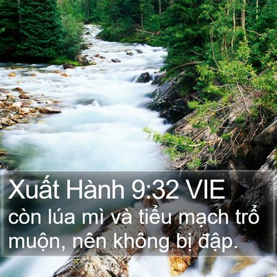 Xuất Hành 9:32 VIE Bible Verse Image