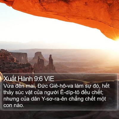 Xuất Hành 9:6 VIE Bible Verse Image