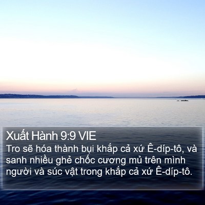 Xuất Hành 9:9 VIE Bible Verse Image