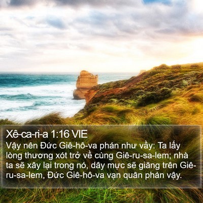 Xê-ca-ri-a 1:16 VIE Bible Verse Image