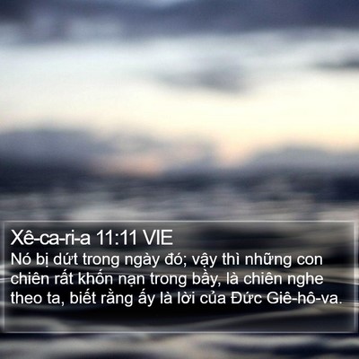 Xê-ca-ri-a 11:11 VIE Bible Verse Image