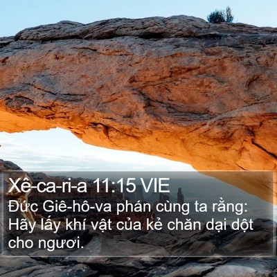 Xê-ca-ri-a 11:15 VIE Bible Verse Image
