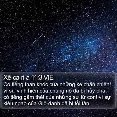 Xê-ca-ri-a 11:3 VIE Bible Verse Image