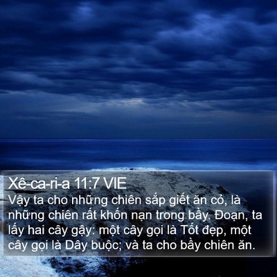 Xê-ca-ri-a 11:7 VIE Bible Verse Image