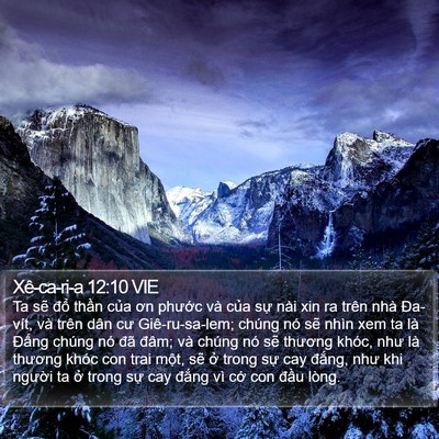 Xê-ca-ri-a 12:10 VIE Bible Verse Image