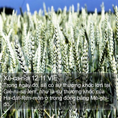 Xê-ca-ri-a 12:11 VIE Bible Verse Image