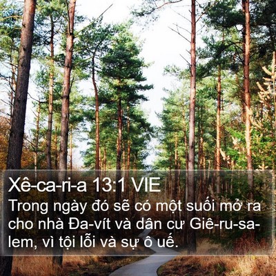 Xê-ca-ri-a 13:1 VIE Bible Verse Image