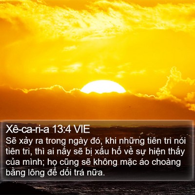 Xê-ca-ri-a 13:4 VIE Bible Verse Image