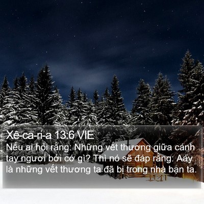 Xê-ca-ri-a 13:6 VIE Bible Verse Image