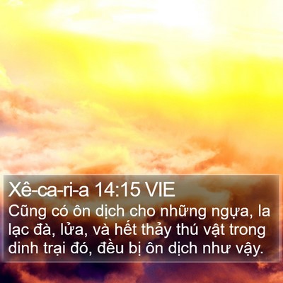Xê-ca-ri-a 14:15 VIE Bible Verse Image