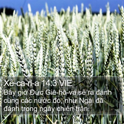 Xê-ca-ri-a 14:3 VIE Bible Verse Image
