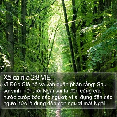 Xê-ca-ri-a 2:8 VIE Bible Verse Image