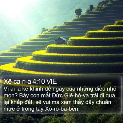 Xê-ca-ri-a 4:10 VIE Bible Verse Image