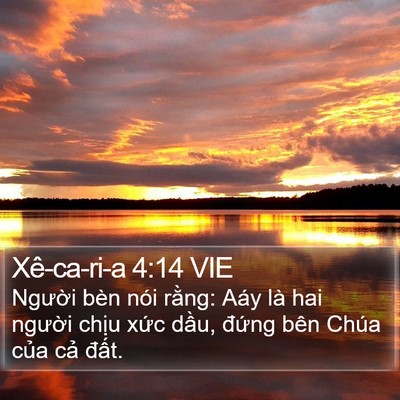Xê-ca-ri-a 4:14 VIE Bible Verse Image