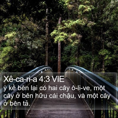 Xê-ca-ri-a 4:3 VIE Bible Verse Image