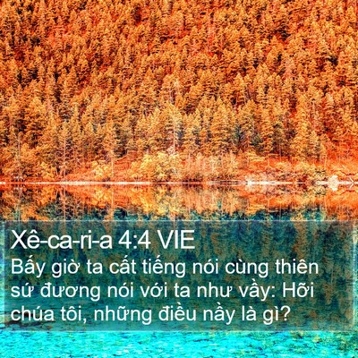 Xê-ca-ri-a 4:4 VIE Bible Verse Image