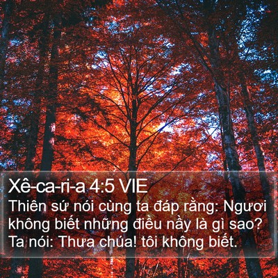 Xê-ca-ri-a 4:5 VIE Bible Verse Image