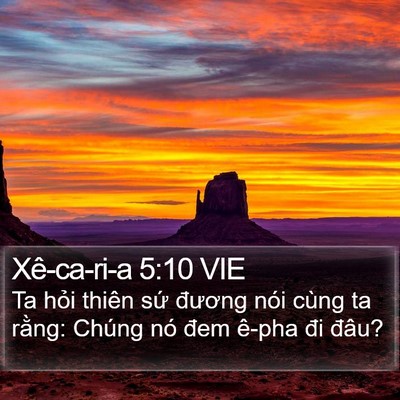 Xê-ca-ri-a 5:10 VIE Bible Verse Image