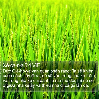 Xê-ca-ri-a 5:4 VIE Bible Verse Image