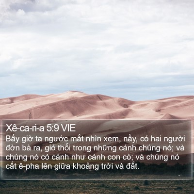 Xê-ca-ri-a 5:9 VIE Bible Verse Image