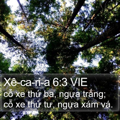 Xê-ca-ri-a 6:3 VIE Bible Verse Image