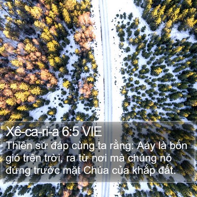 Xê-ca-ri-a 6:5 VIE Bible Verse Image