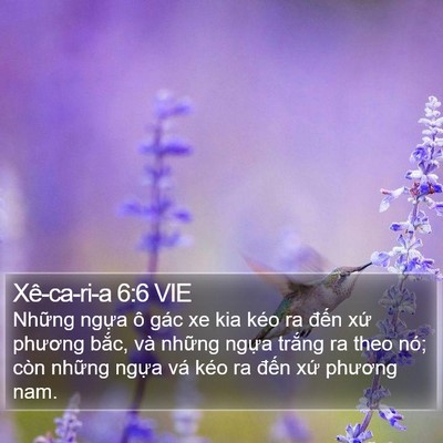 Xê-ca-ri-a 6:6 VIE Bible Verse Image