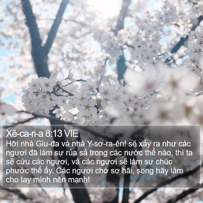 Xê-ca-ri-a 8:13 VIE Bible Verse Image