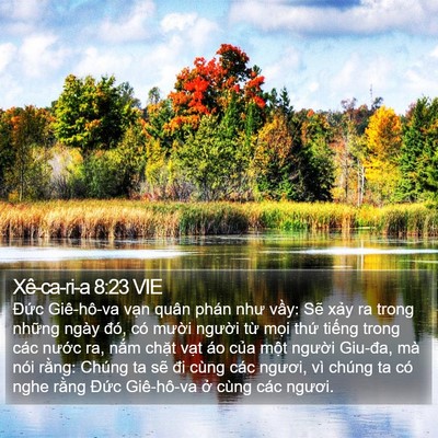 Xê-ca-ri-a 8:23 VIE Bible Verse Image