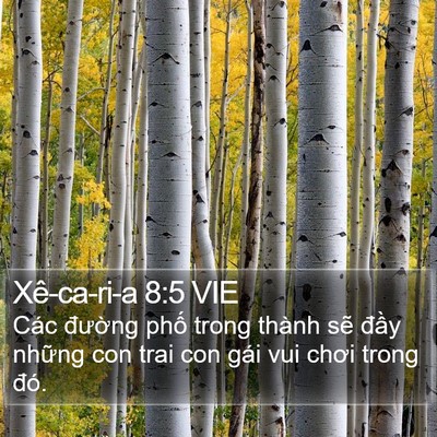 Xê-ca-ri-a 8:5 VIE Bible Verse Image