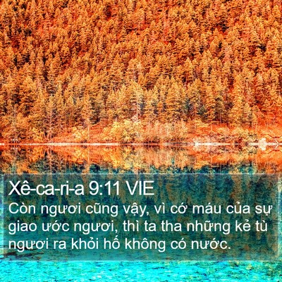 Xê-ca-ri-a 9:11 VIE Bible Verse Image