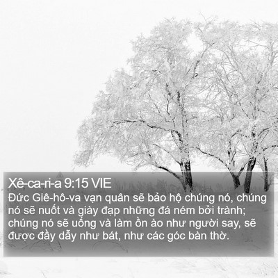 Xê-ca-ri-a 9:15 VIE Bible Verse Image