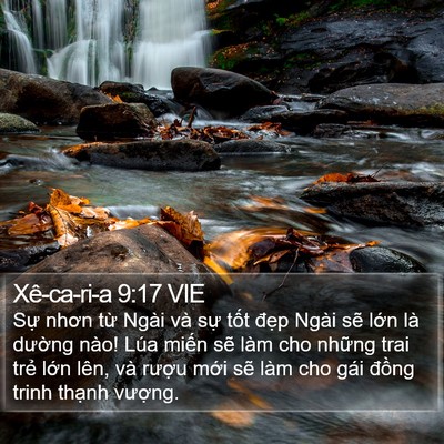 Xê-ca-ri-a 9:17 VIE Bible Verse Image