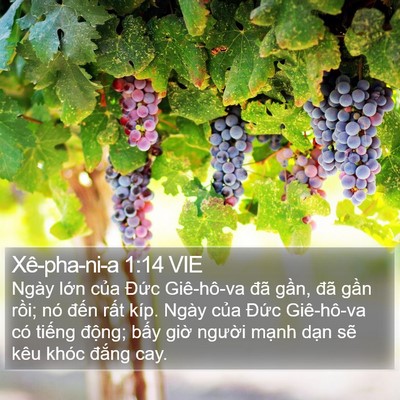 Xê-pha-ni-a 1:14 VIE Bible Verse Image