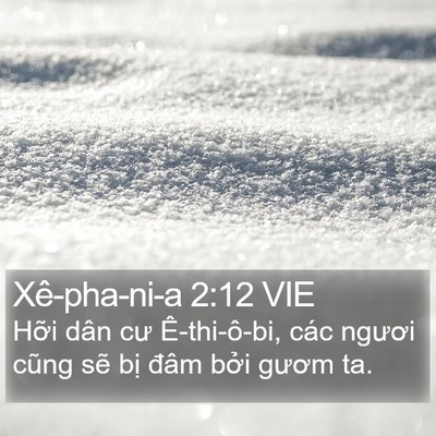 Xê-pha-ni-a 2:12 VIE Bible Verse Image