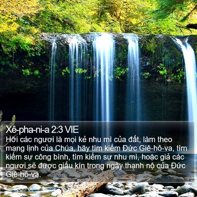 Xê-pha-ni-a 2:3 VIE Bible Verse Image