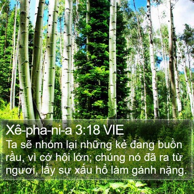 Xê-pha-ni-a 3:18 VIE Bible Verse Image