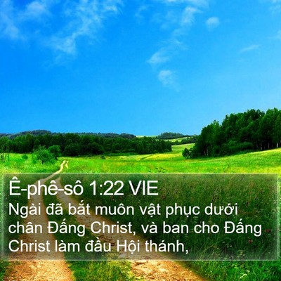 Ê-phê-sô 1:22 VIE Bible Verse Image