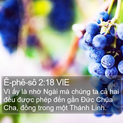 Ê-phê-sô 2:18 VIE Bible Verse Image