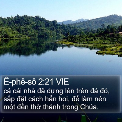 Ê-phê-sô 2:21 VIE Bible Verse Image