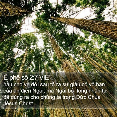 Ê-phê-sô 2:7 VIE Bible Verse Image