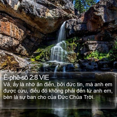Ê-phê-sô 2:8 VIE Bible Verse Image