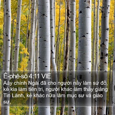 Ê-phê-sô 4:11 VIE Bible Verse Image