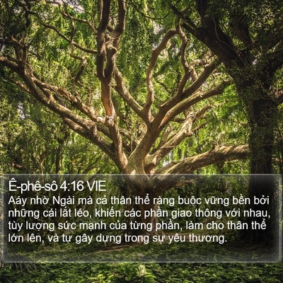 Ê-phê-sô 4:16 VIE Bible Verse Image