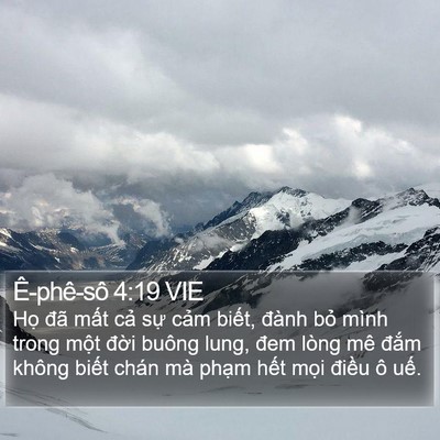 Ê-phê-sô 4:19 VIE Bible Verse Image