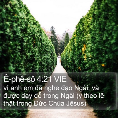 Ê-phê-sô 4:21 VIE Bible Verse Image