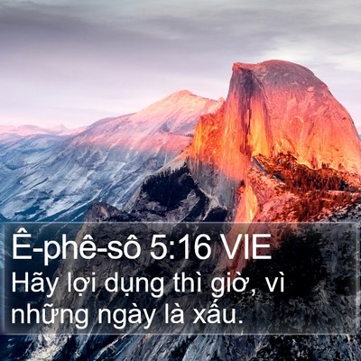 Ê-phê-sô 5:16 VIE Bible Verse Image