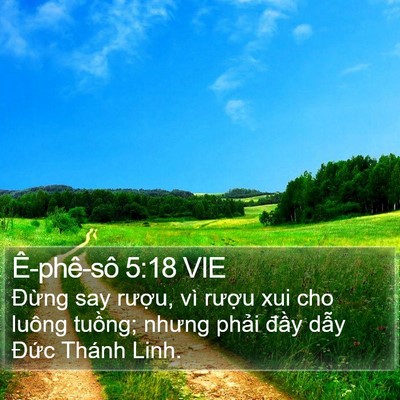 Ê-phê-sô 5:18 VIE Bible Verse Image