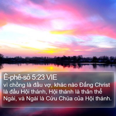 Ê-phê-sô 5:23 VIE Bible Verse Image