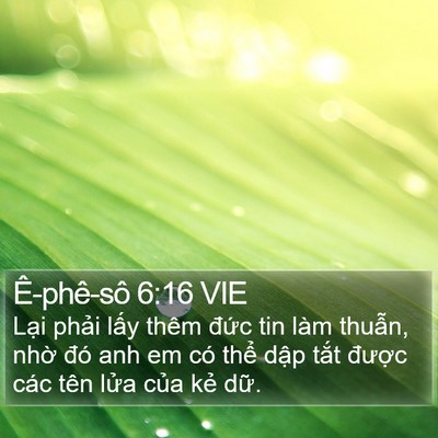 Ê-phê-sô 6:16 VIE Bible Verse Image